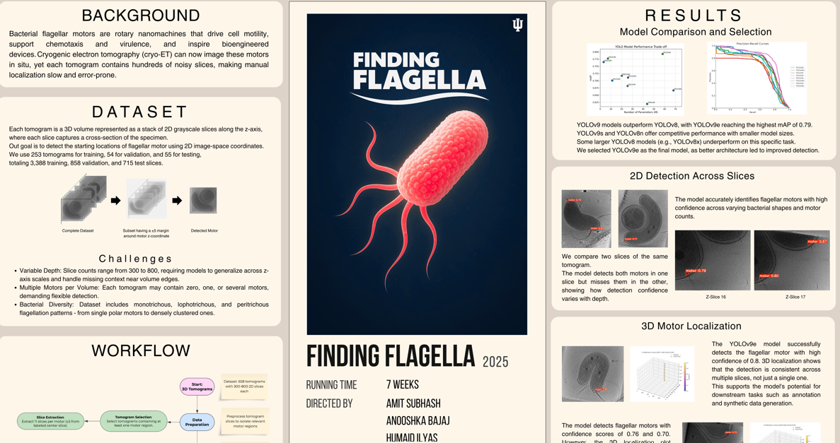 Finding Flagella